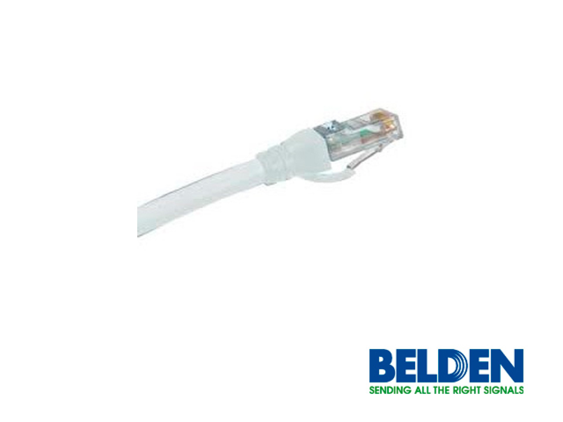 Patch Cord UTP CAT6A BELDEN CA21109007 – 2, 1 m, RJ-45, Macho, Blanco
