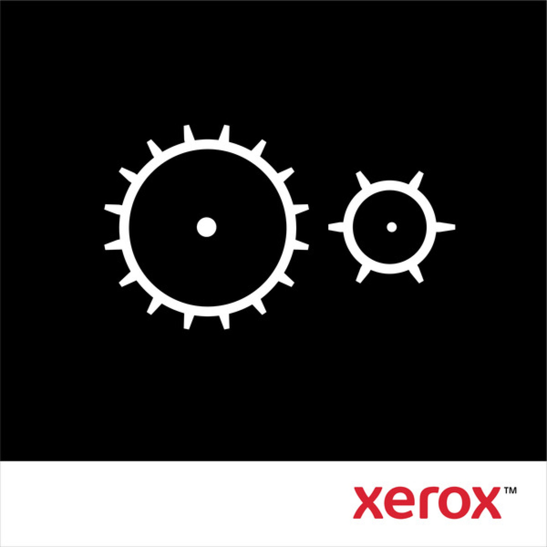XEROX 116R00009 RODILLO TRASNFER 200K –