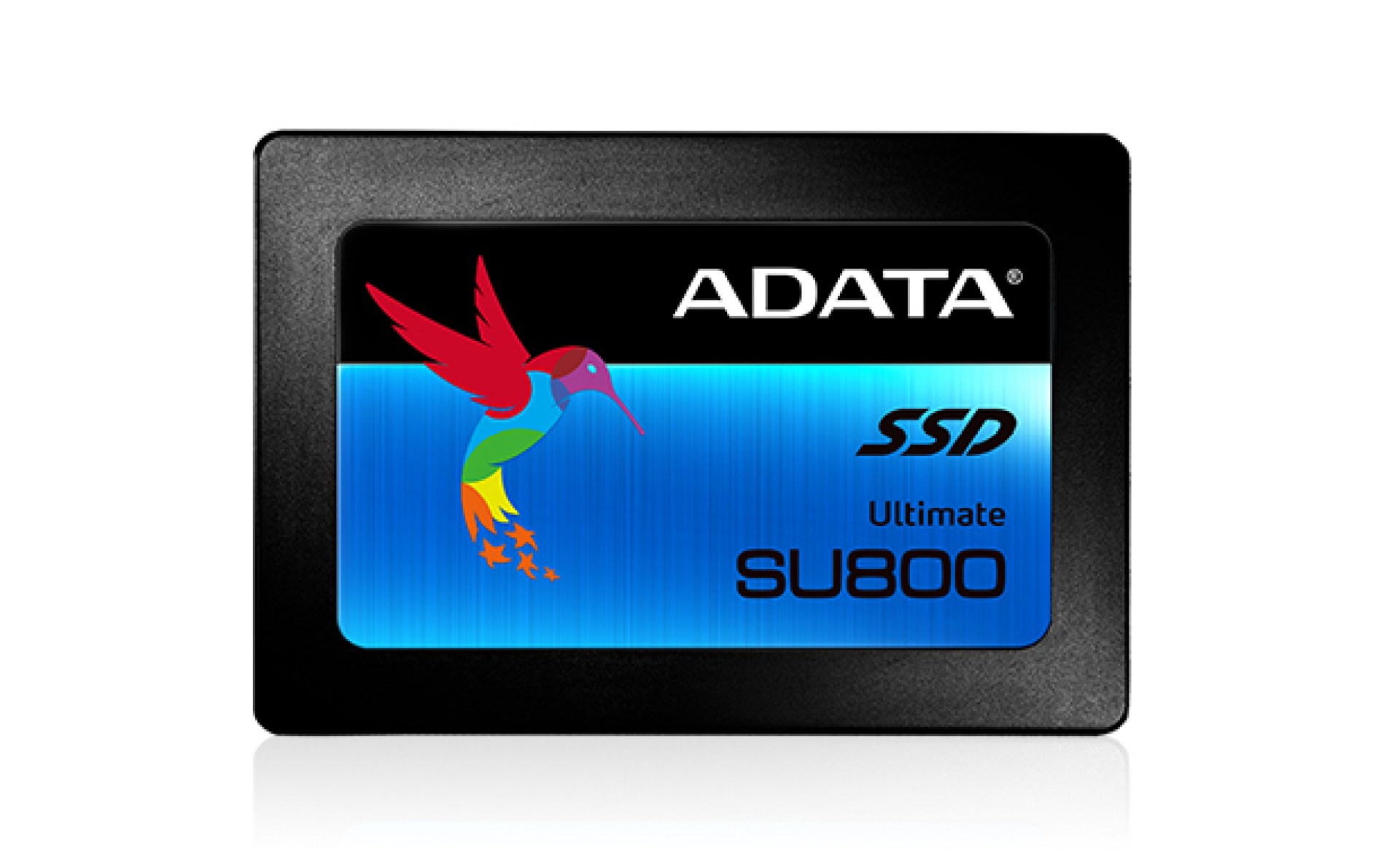 SSD ADATA SU800 – 512 GB, Serial ATA III, 560 MB/s, 520 MB/s, 6 Gbit/s