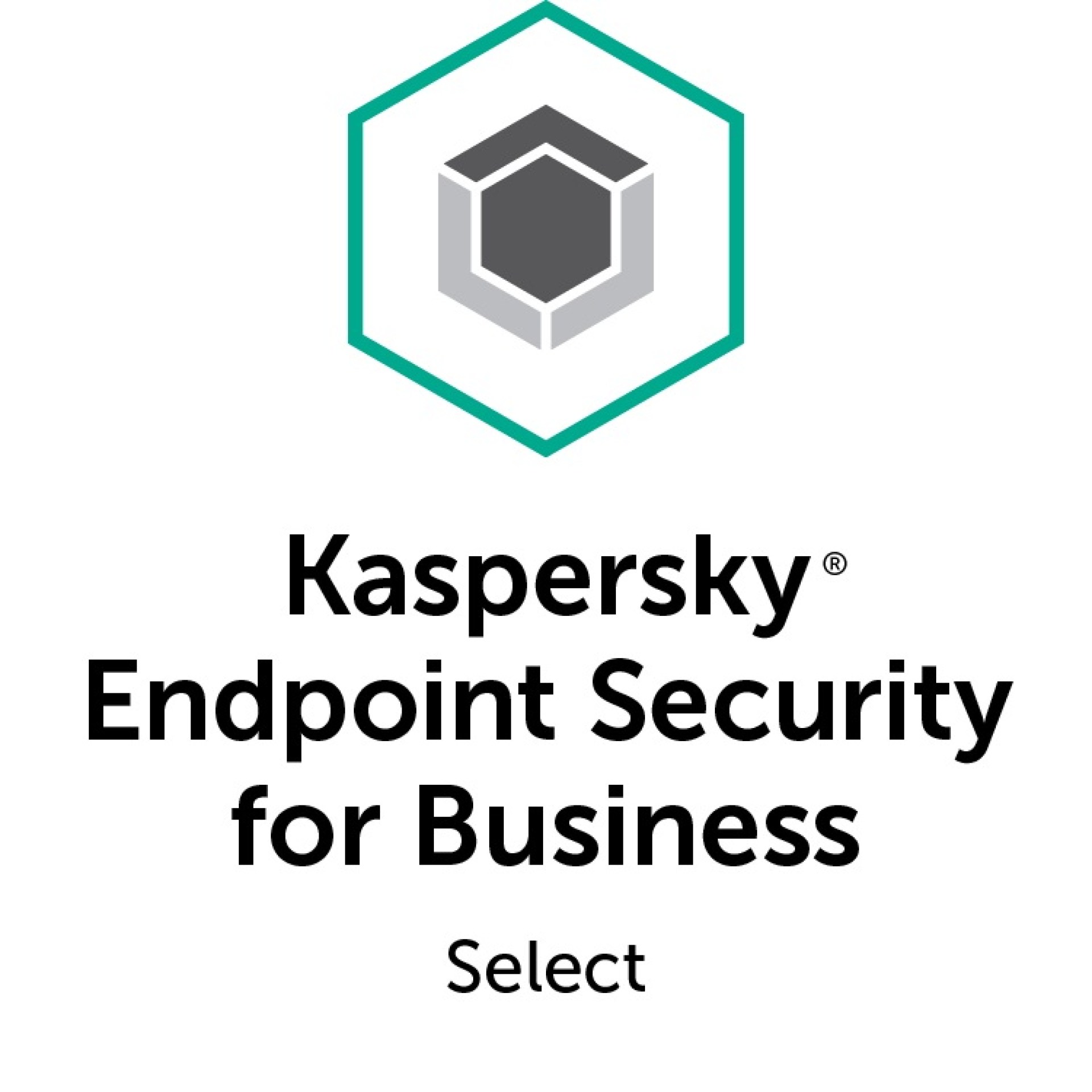 Antivirus KASPERSKY Security for Business – 250 – 499 licencias, 2 año(s)