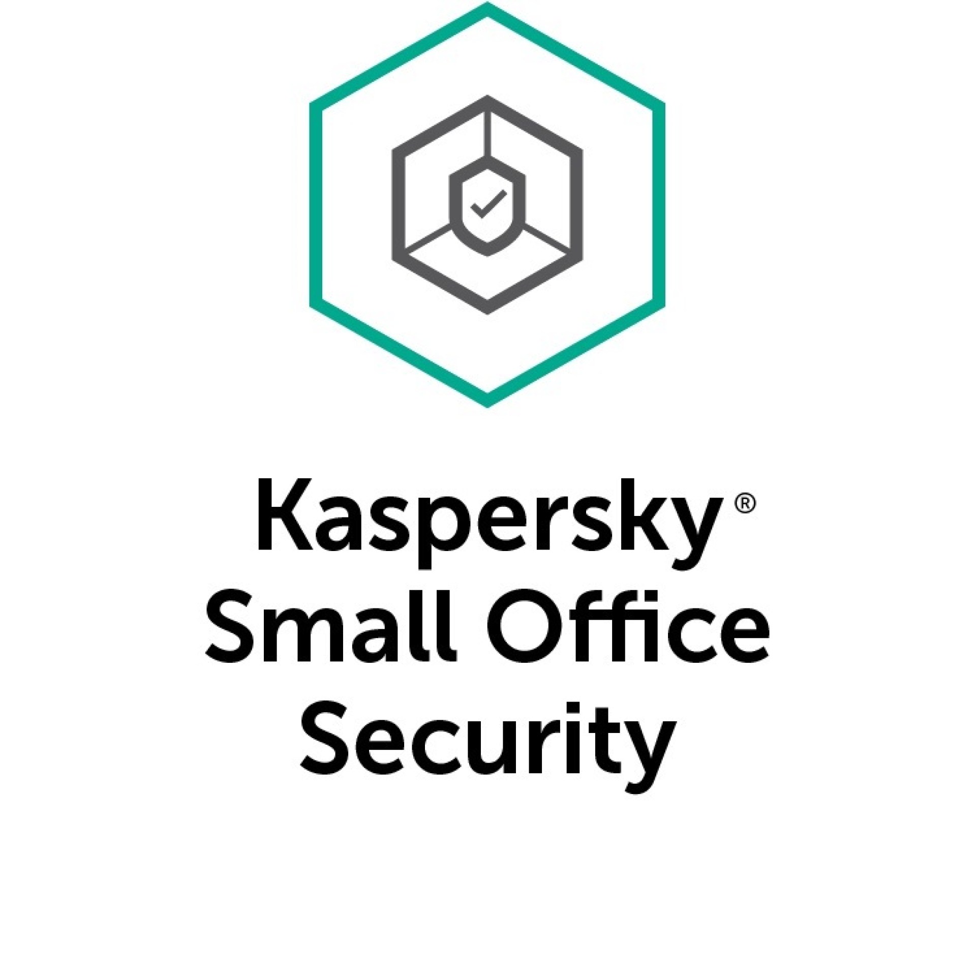 Antivirus KASPERSKY Small Office Security – 10- 14 licencias, 1 Año(s), Small Office Security